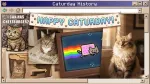 What is Caturday? The History of the Internet's Favorite Holiday